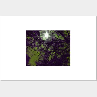 Purple Tree Branches Posters and Art